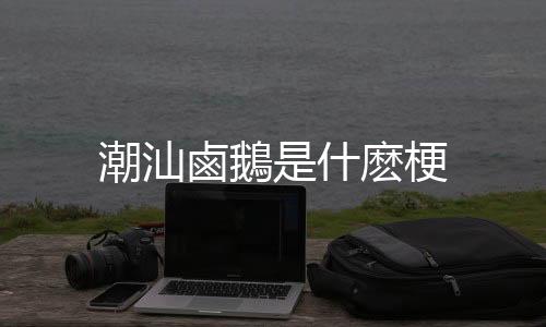 潮汕鹵鵝是什麽梗