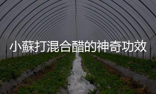 小蘇打混合醋的神奇功效 巧用小蘇打讓你的家更潔淨