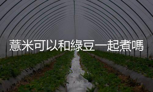 薏米可以和綠豆一起煮嗎